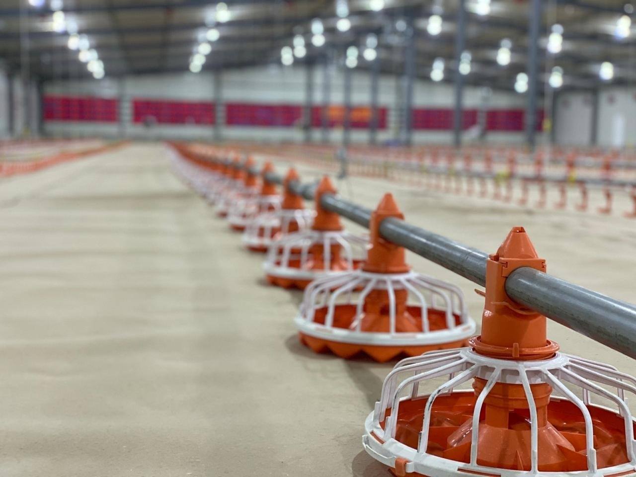 What is the importance of poultry equipment? phoenix