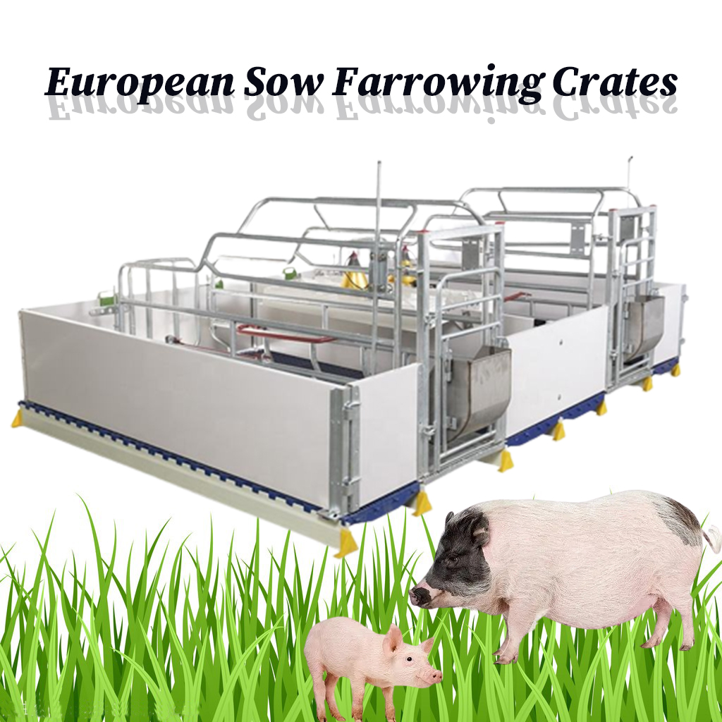 European Type Farrowing Crates with Heater Pig Cages Farm Galvanized