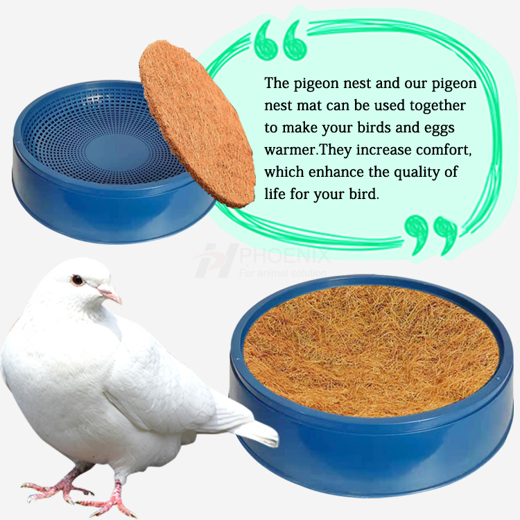 Plastic Pigeon Nest Buy pigeon nest, pigeon nest box, pigeon foot